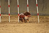 E.O.selectie wedstrijd zaterdag