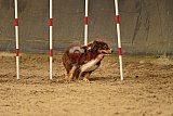 E.O.selectie wedstrijd zaterdag
