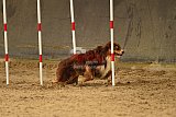 E.O.selectie wedstrijd zaterdag
