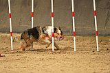 E.O.selectie wedstrijd zaterdag