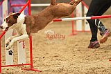 E.O.selectie wedstrijd zaterdag