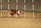 E.O.selectie wedstrijd zaterdag
