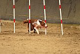 E.O.selectie wedstrijd zaterdag