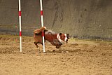 E.O.selectie wedstrijd zaterdag