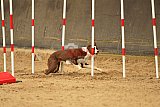 E.O.selectie wedstrijd zaterdag