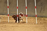 E.O.selectie wedstrijd zaterdag