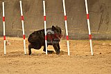 E.O.selectie wedstrijd zaterdag