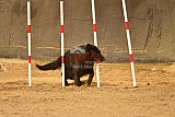 E.O.selectie wedstrijd zaterdag