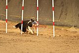 E.O.selectie wedstrijd zaterdag