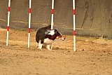E.O.selectie wedstrijd zaterdag