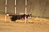 E.O.selectie wedstrijd zaterdag