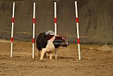 E.O.selectie wedstrijd zaterdag