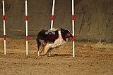 E.O.selectie wedstrijd zaterdag