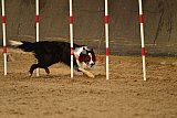 E.O.selectie wedstrijd zaterdag