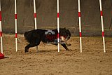 E.O.selectie wedstrijd zaterdag