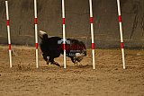 E.O.selectie wedstrijd zaterdag