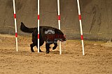 E.O.selectie wedstrijd zaterdag