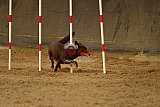 E.O.selectie wedstrijd zaterdag