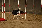 E.O.selectie wedstrijd zaterdag