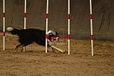 E.O.selectie wedstrijd zaterdag
