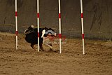 E.O.selectie wedstrijd zaterdag