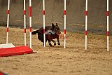 E.O.selectie wedstrijd zaterdag