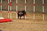 E.O.selectie wedstrijd zaterdag