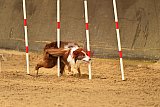 E.O.selectie wedstrijd zaterdag