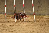 E.O.selectie wedstrijd zaterdag