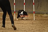 E.O.selectie wedstrijd zaterdag