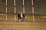 E.O.selectie wedstrijd zaterdag