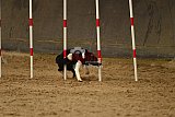 E.O.selectie wedstrijd zaterdag