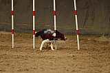 E.O.selectie wedstrijd zaterdag