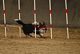 E.O.selectie wedstrijd zaterdag