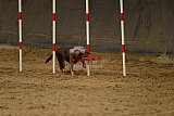 E.O.selectie wedstrijd zaterdag
