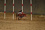 E.O.selectie wedstrijd zaterdag