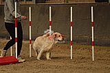 E.O.selectie wedstrijd zaterdag