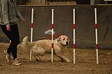 E.O.selectie wedstrijd zaterdag