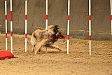 E.O.selectie wedstrijd zaterdag