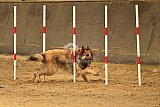 E.O.selectie wedstrijd zaterdag