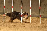 E.O.selectie wedstrijd zaterdag