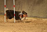E.O.selectie wedstrijd zaterdag