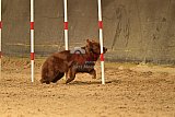 E.O.selectie wedstrijd zaterdag