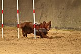 E.O.selectie wedstrijd zaterdag