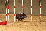 E.O.selectie wedstrijd zaterdag