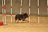 E.O.selectie wedstrijd zaterdag
