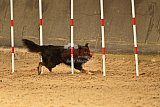 E.O.selectie wedstrijd zaterdag