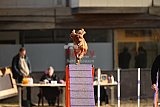 E.O.selectie wedstrijd zondag