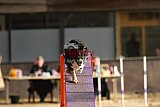 E.O.selectie wedstrijd zondag