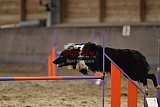 E.O.selectie wedstrijd zondag